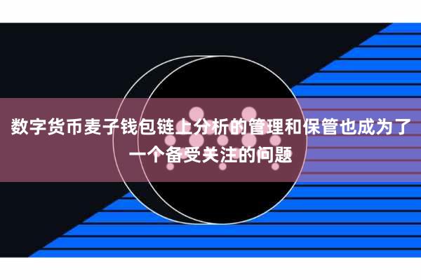 数字货币麦子钱包链上分析的管理和保管也成为了一个备受关注的问题