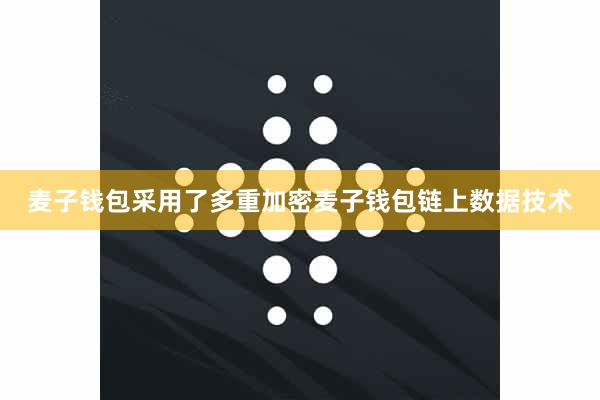 麦子钱包采用了多重加密麦子钱包链上数据技术