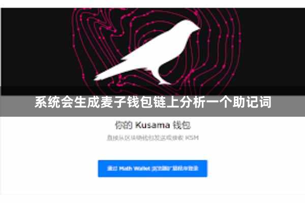 系统会生成麦子钱包链上分析一个助记词