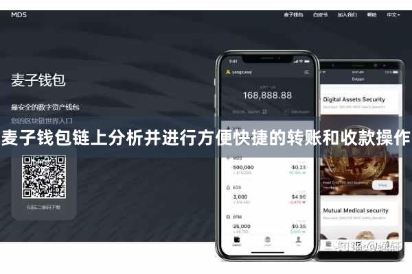 麦子钱包链上分析并进行方便快捷的转账和收款操作