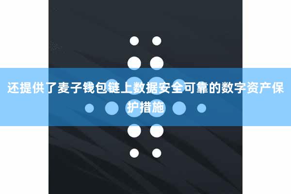 还提供了麦子钱包链上数据安全可靠的数字资产保护措施