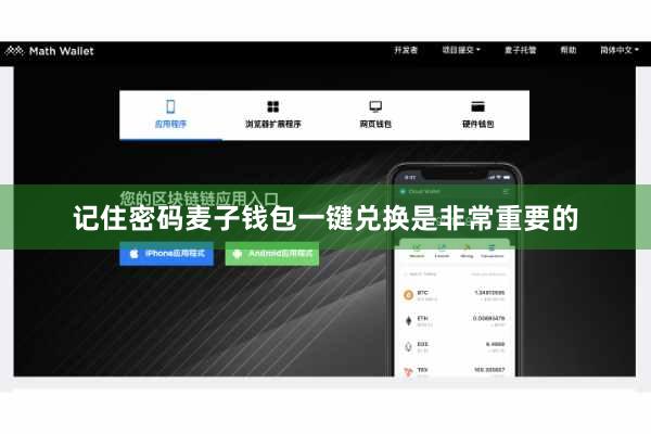 记住密码麦子钱包一键兑换是非常重要的