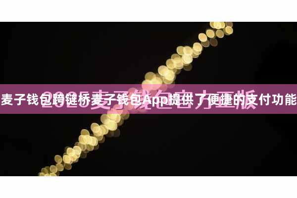 麦子钱包跨链桥麦子钱包App提供了便捷的支付功能
