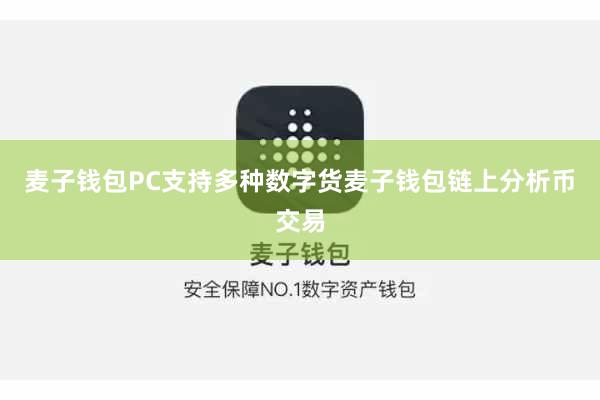 麦子钱包PC支持多种数字货麦子钱包链上分析币交易