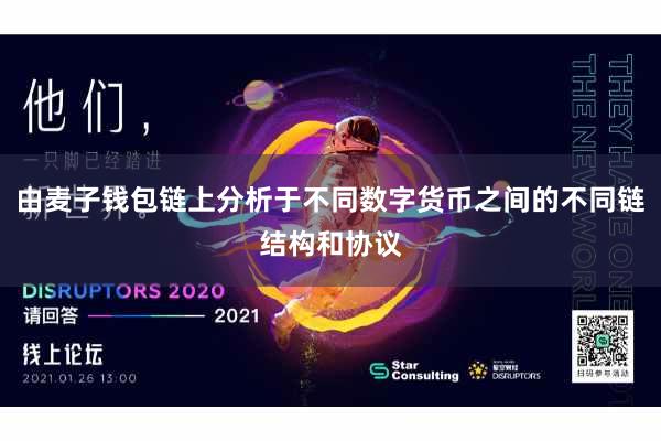 由麦子钱包链上分析于不同数字货币之间的不同链结构和协议