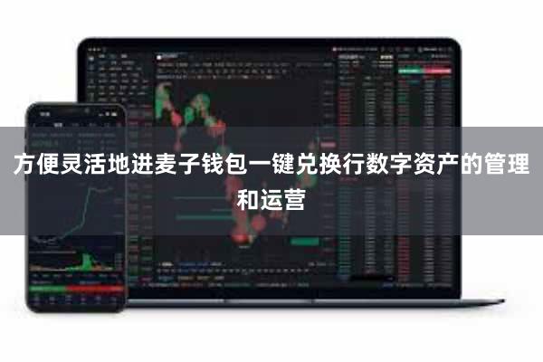方便灵活地进麦子钱包一键兑换行数字资产的管理和运营