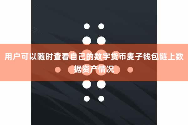 用户可以随时查看自己的数字货币麦子钱包链上数据资产情况