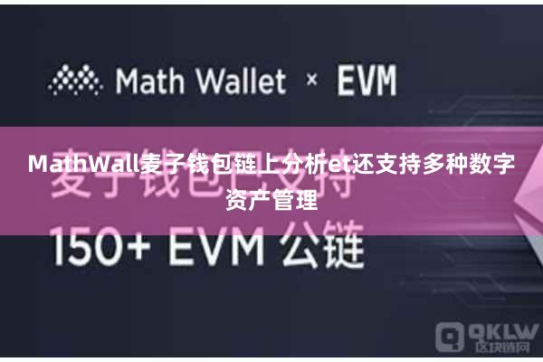 MathWall麦子钱包链上分析et还支持多种数字资产管理