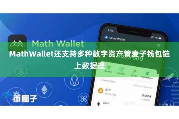 MathWallet还支持多种数字资产管麦子钱包链上数据理